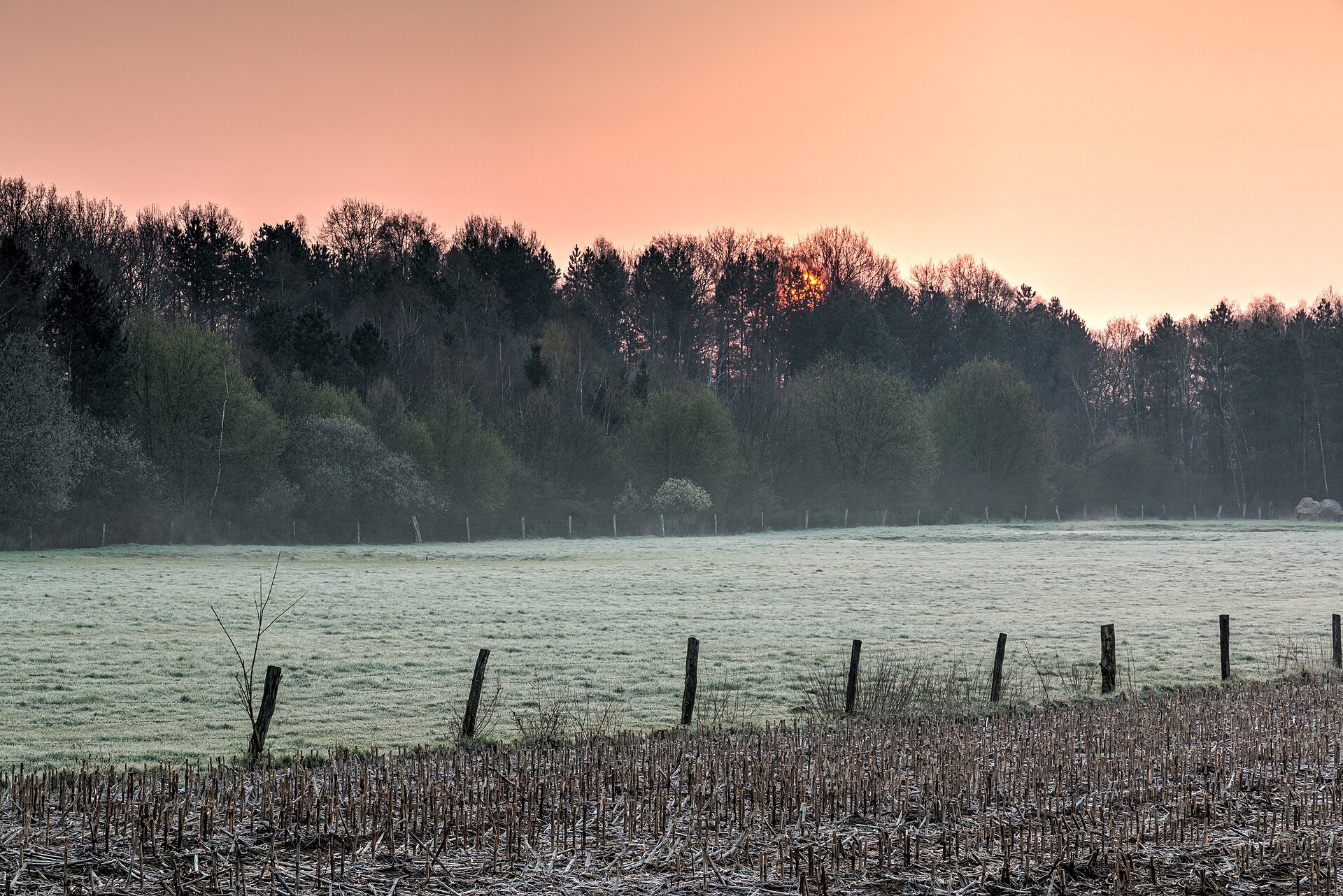 Frosted open field and tree line at sunrise